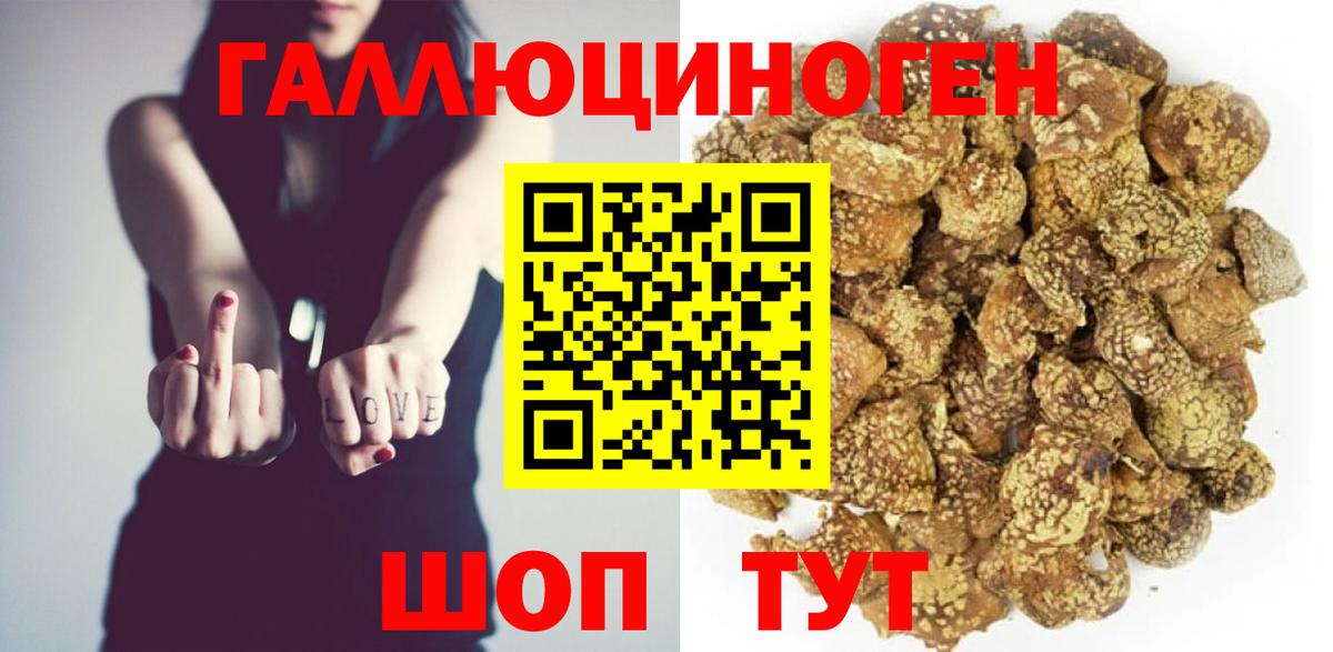 Галлюциногенные грибы Psilocybine cubensis  Вход с VPN  цена наркотик  Галлюциногенные грибы мухоморы  Усть-Джегута 